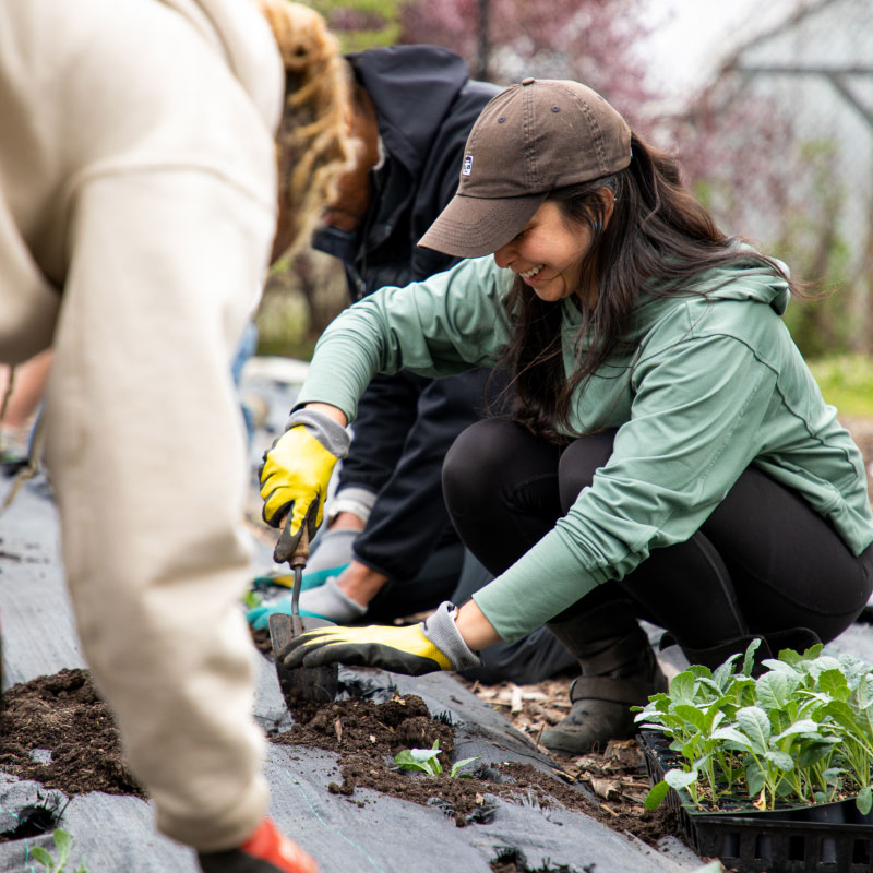 Echo team members planting plants at a community gardening event.