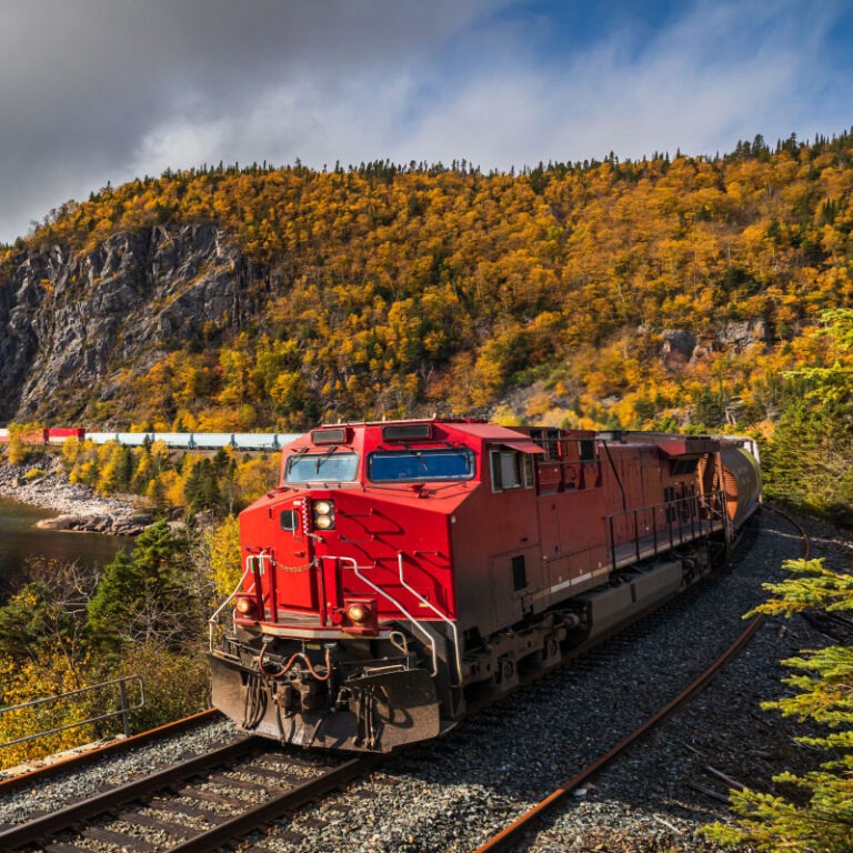 An intermodal train shipping freight across a green scenery.