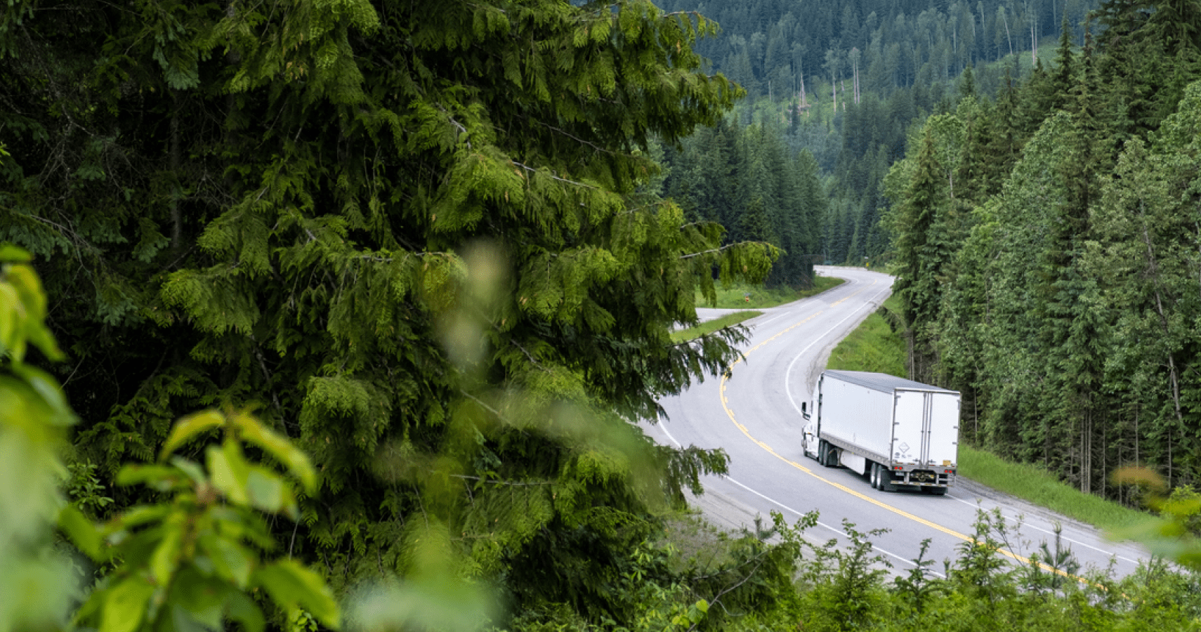 White truck driving down forest road.