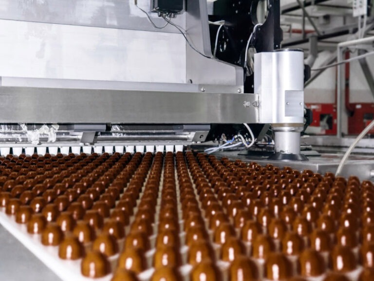 Rows of toppings for chocolate confectionery products on a conveyor belt of a chocolate factory.